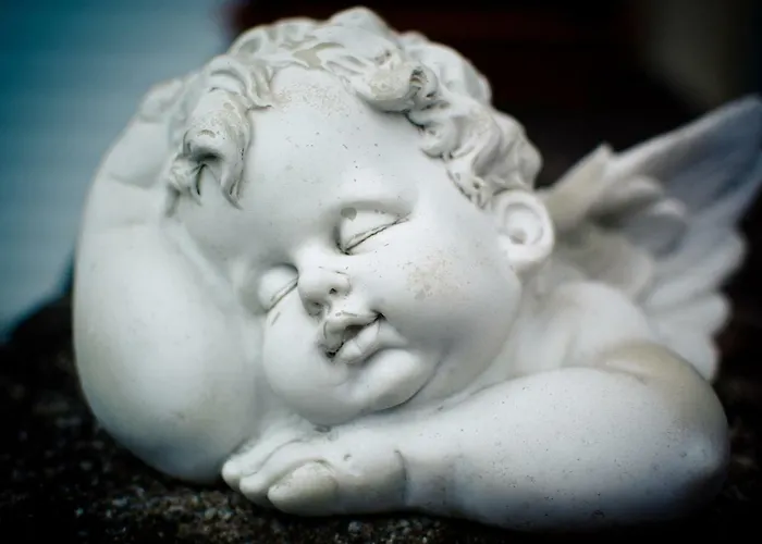 Prestige Zanobi 55 Appartamento